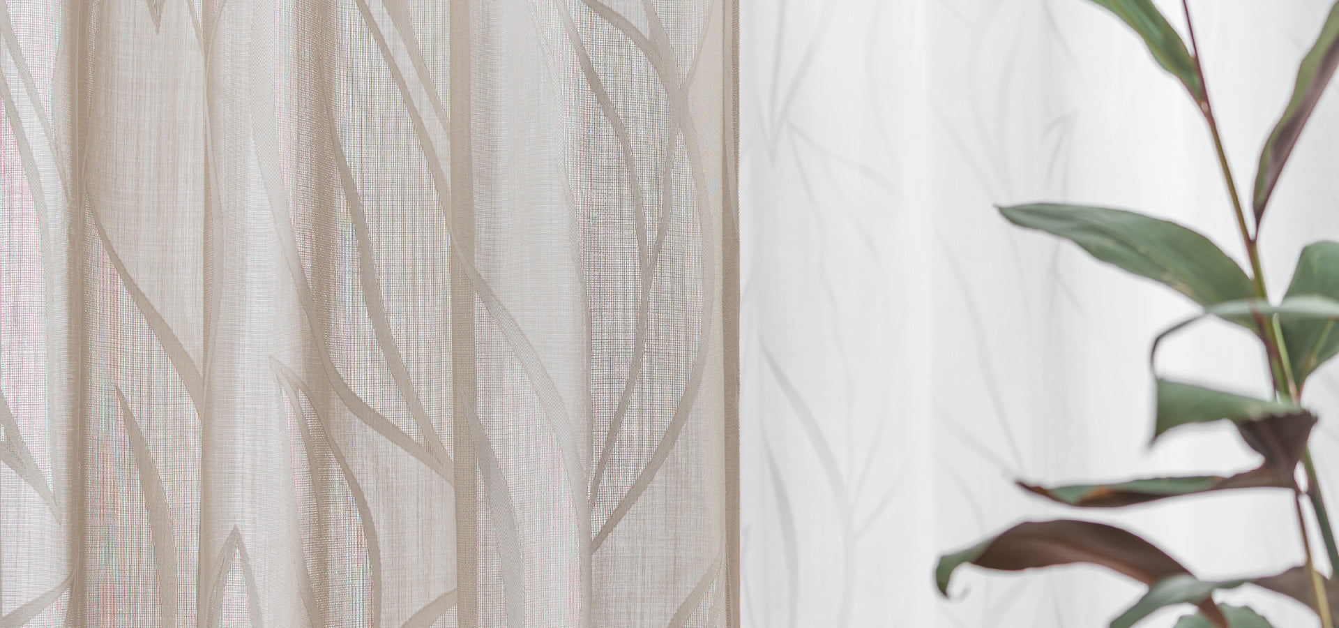 Jacquard Sheers