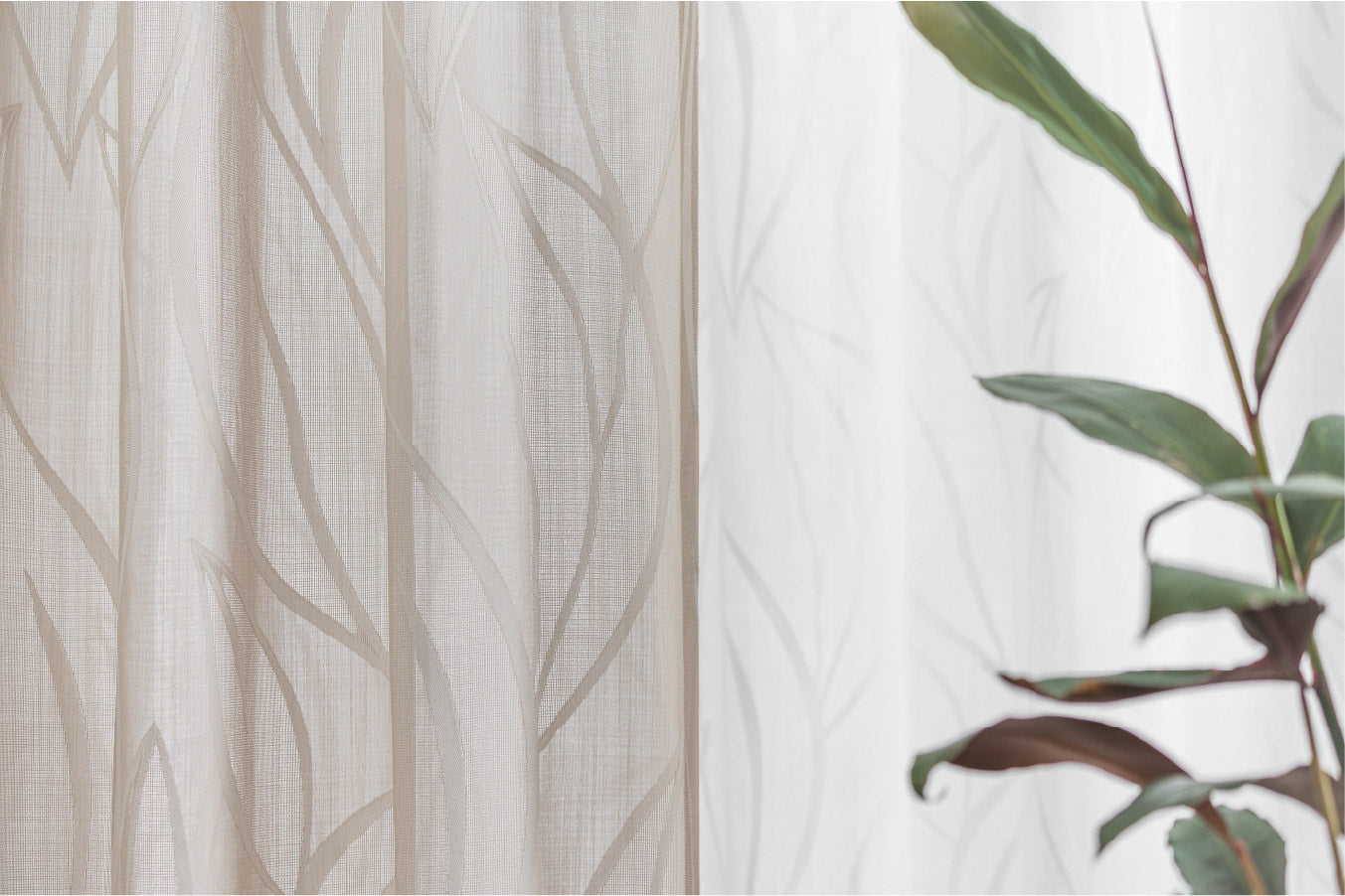 X Jacquards