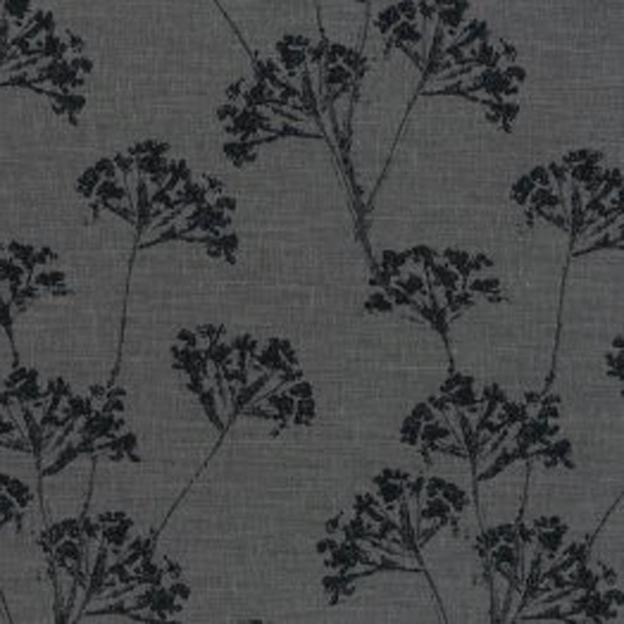 Anise