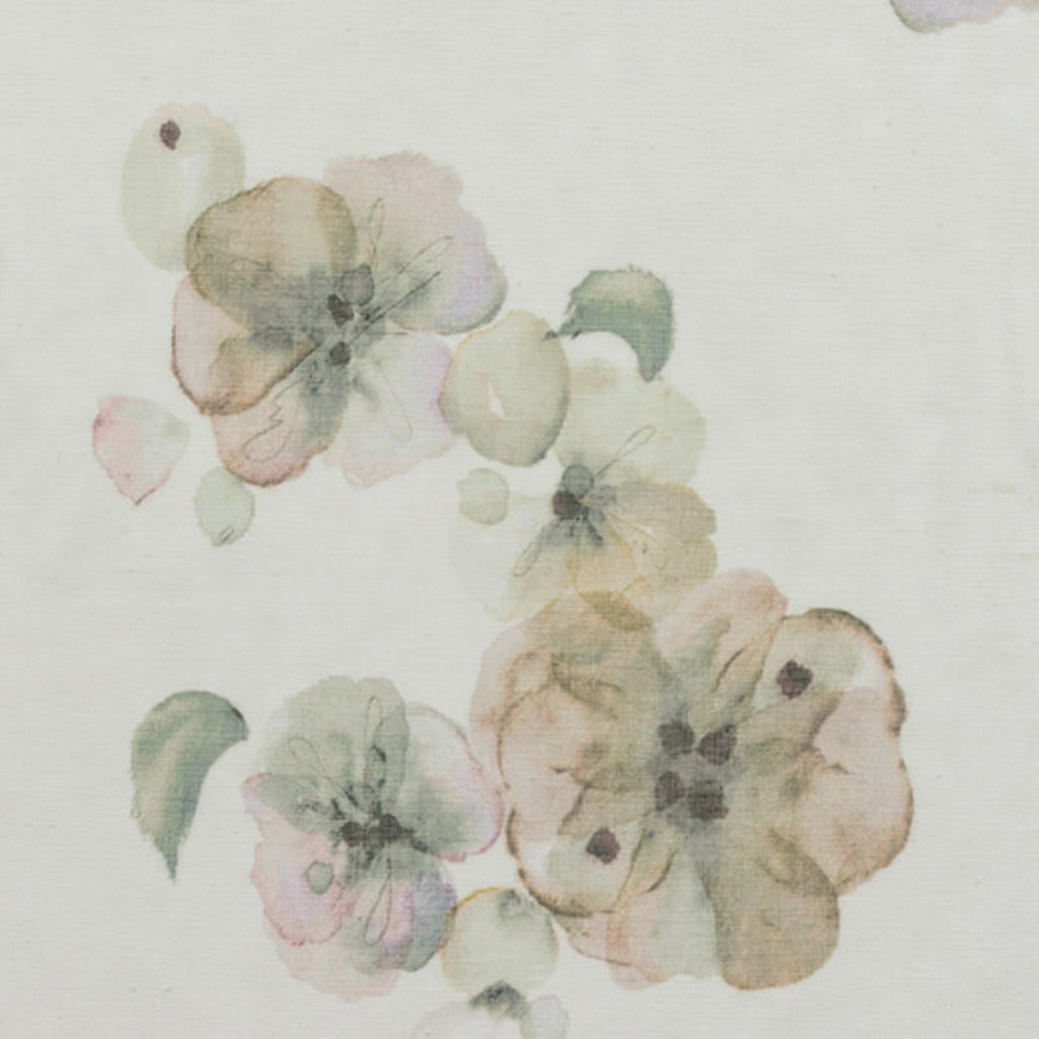FLORIA
