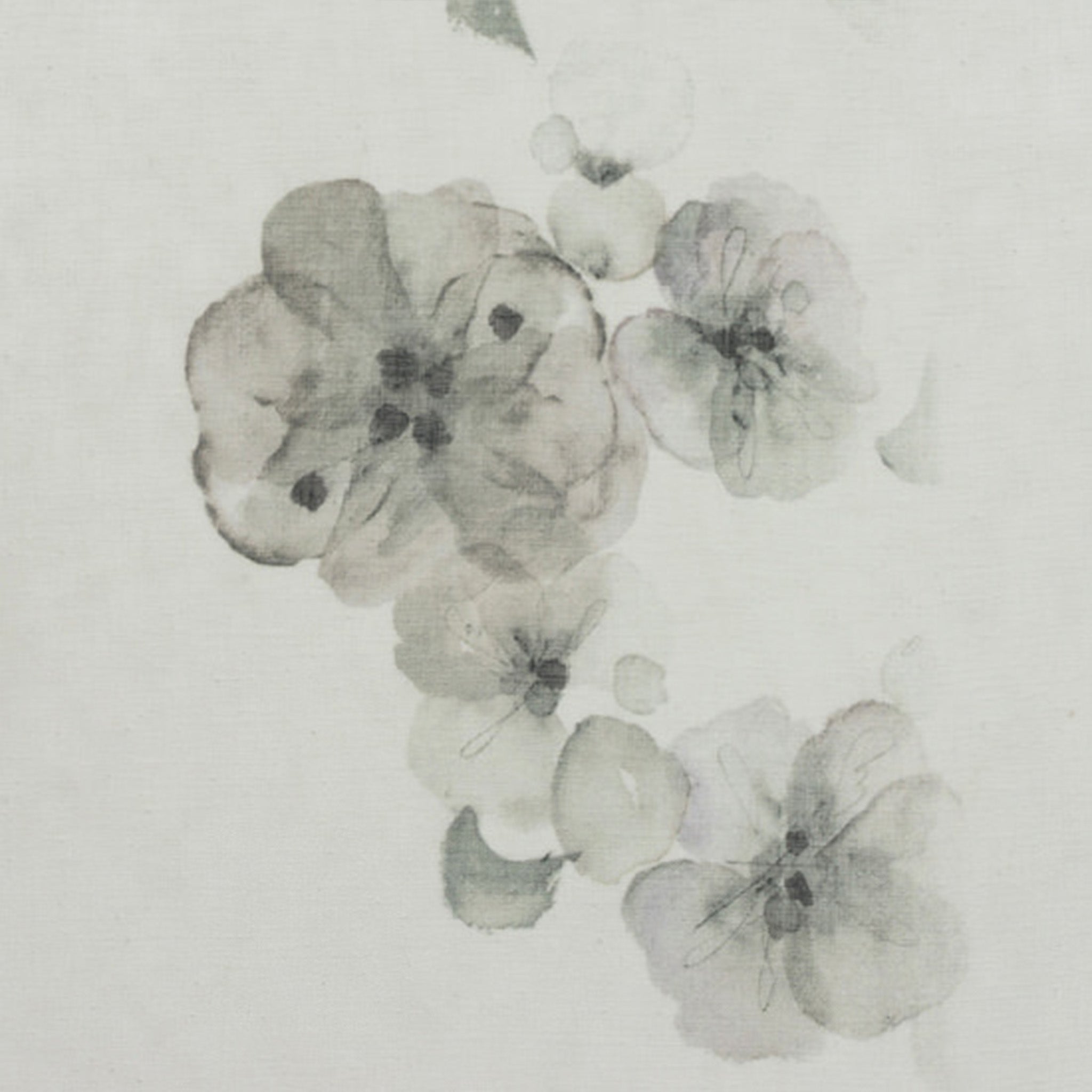 FLORIA