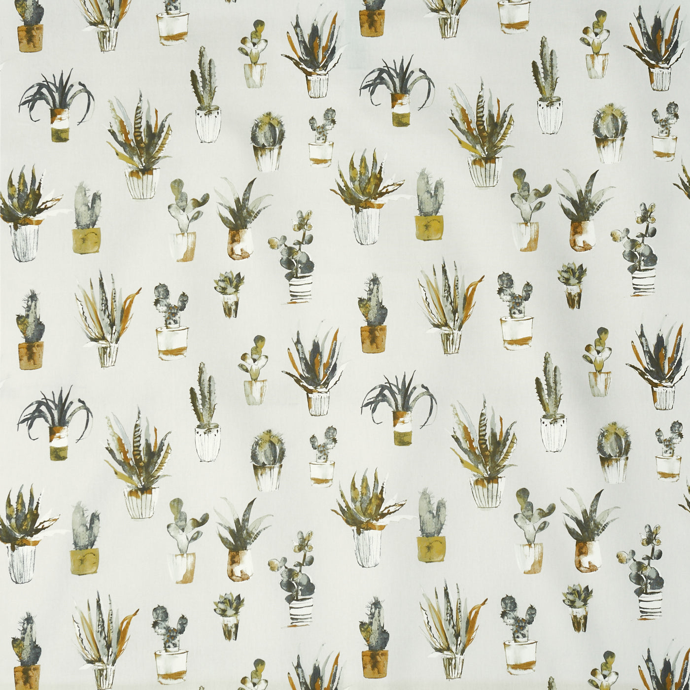 CACTUS JEWEL