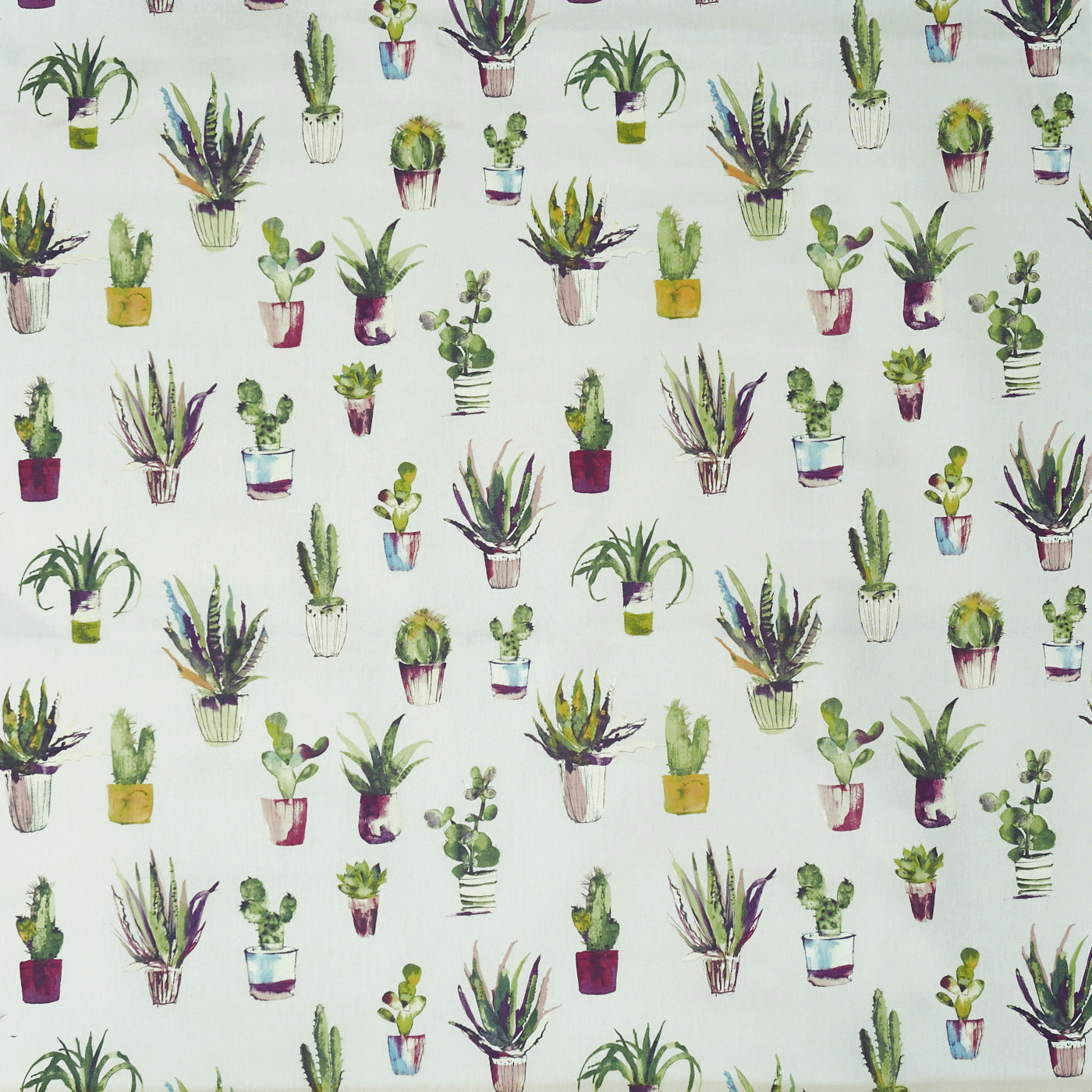 CACTUS JEWEL