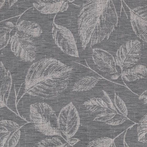 DAINTREE THUNDER GREY