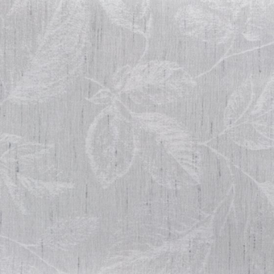 DAINTREE SILVER MIST