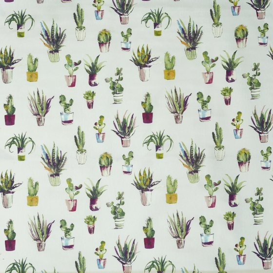 CACTUS JEWEL