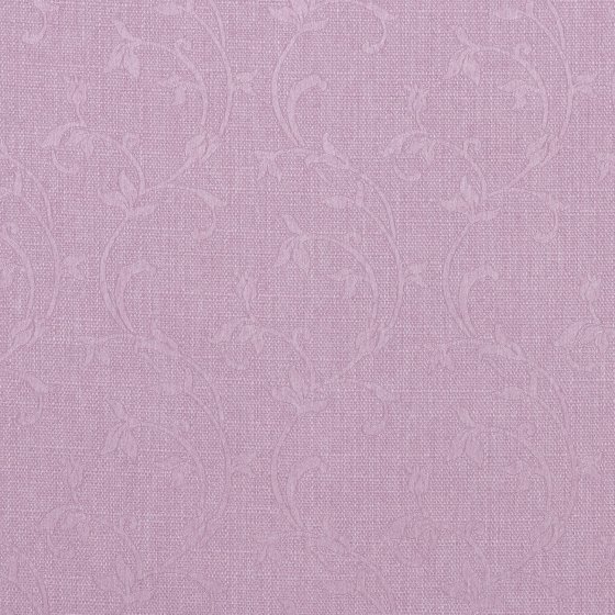 MATISSE HAZE 4P