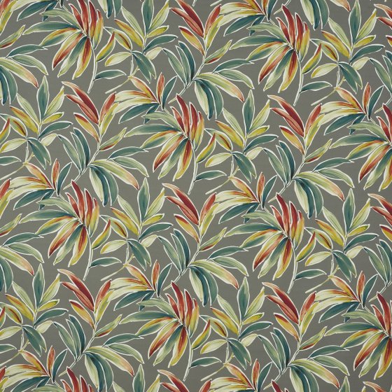 VENTURA JUNGLE