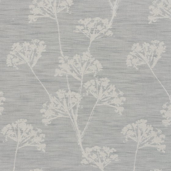 ANISE